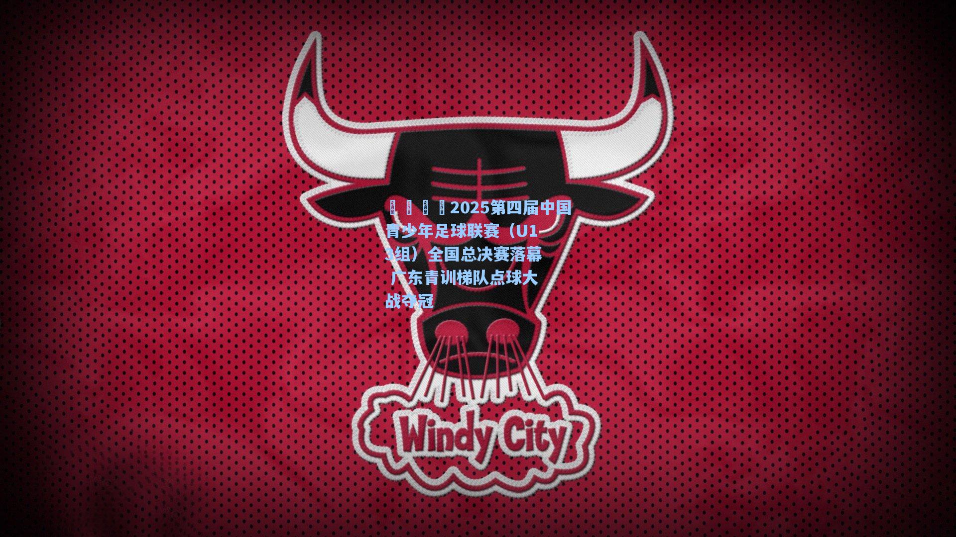 澳客足彩_🏆2025第四届中国青少年足球联赛（U13组）全国总决赛落幕 广东青训梯队点球大战夺冠
