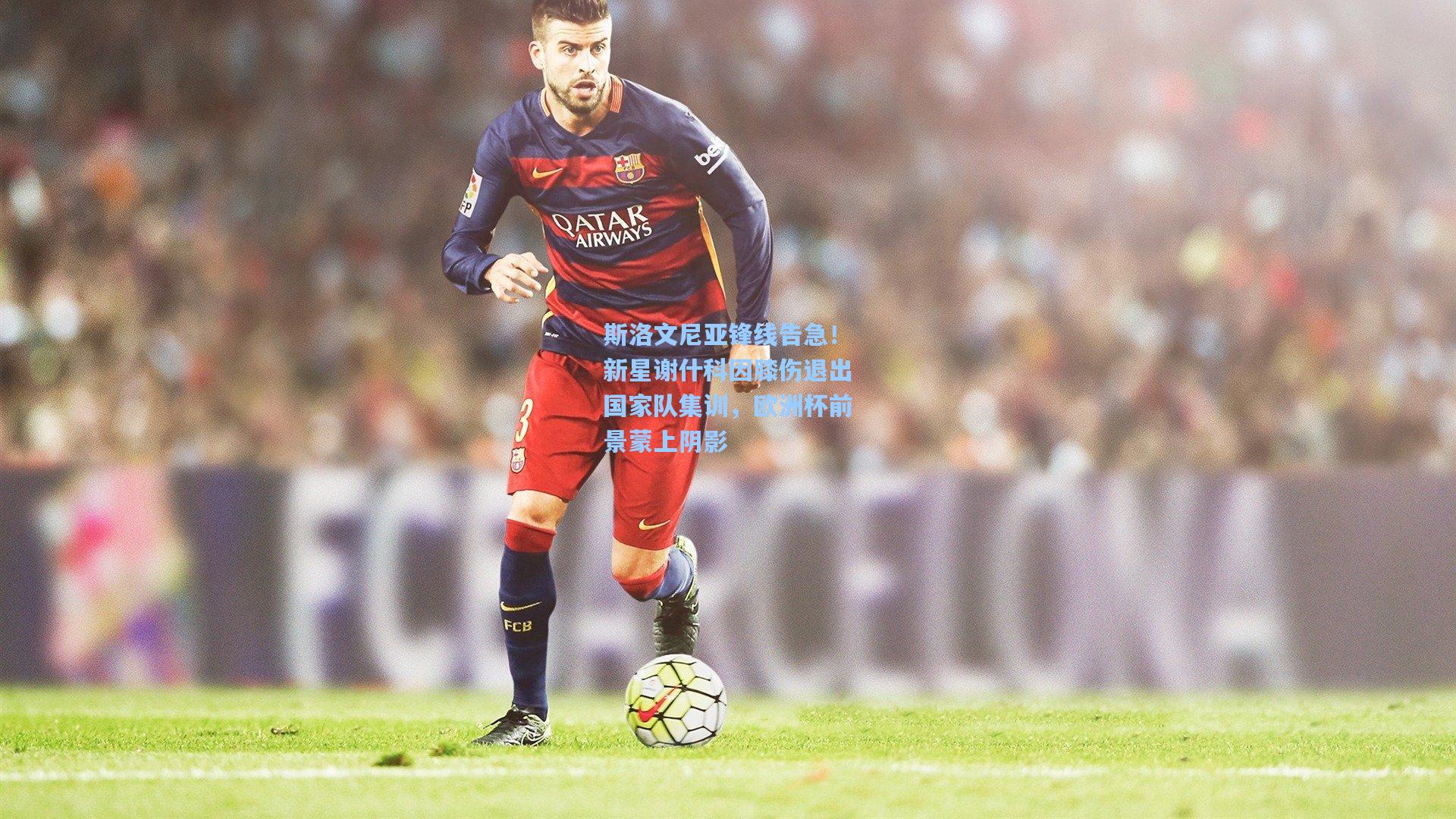 澳客数据-斯洛文尼亚锋线告急!新星谢什科因膝伤退出国家队集训,欧洲杯前景蒙上阴影